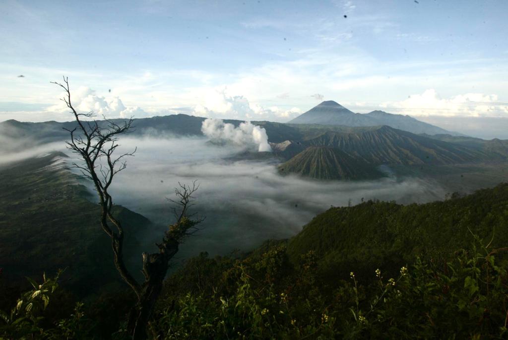 Fenomena Frozen Gunung Bromo, Gubernur Khofifah : Saatnya Menikmati Keindahan Lautan Pasir ‘Salju’ dari Dekat